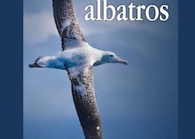 Portada_del_libro_Donde_anidan_los_albatros_copia