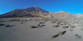 Teide_visto_desde_el_llano_de_UcancaFoto_EFarina_copia