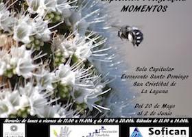 Cartel_Exposicion_Momentos_copia