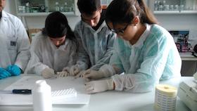 trabajo_laboratorio_copia