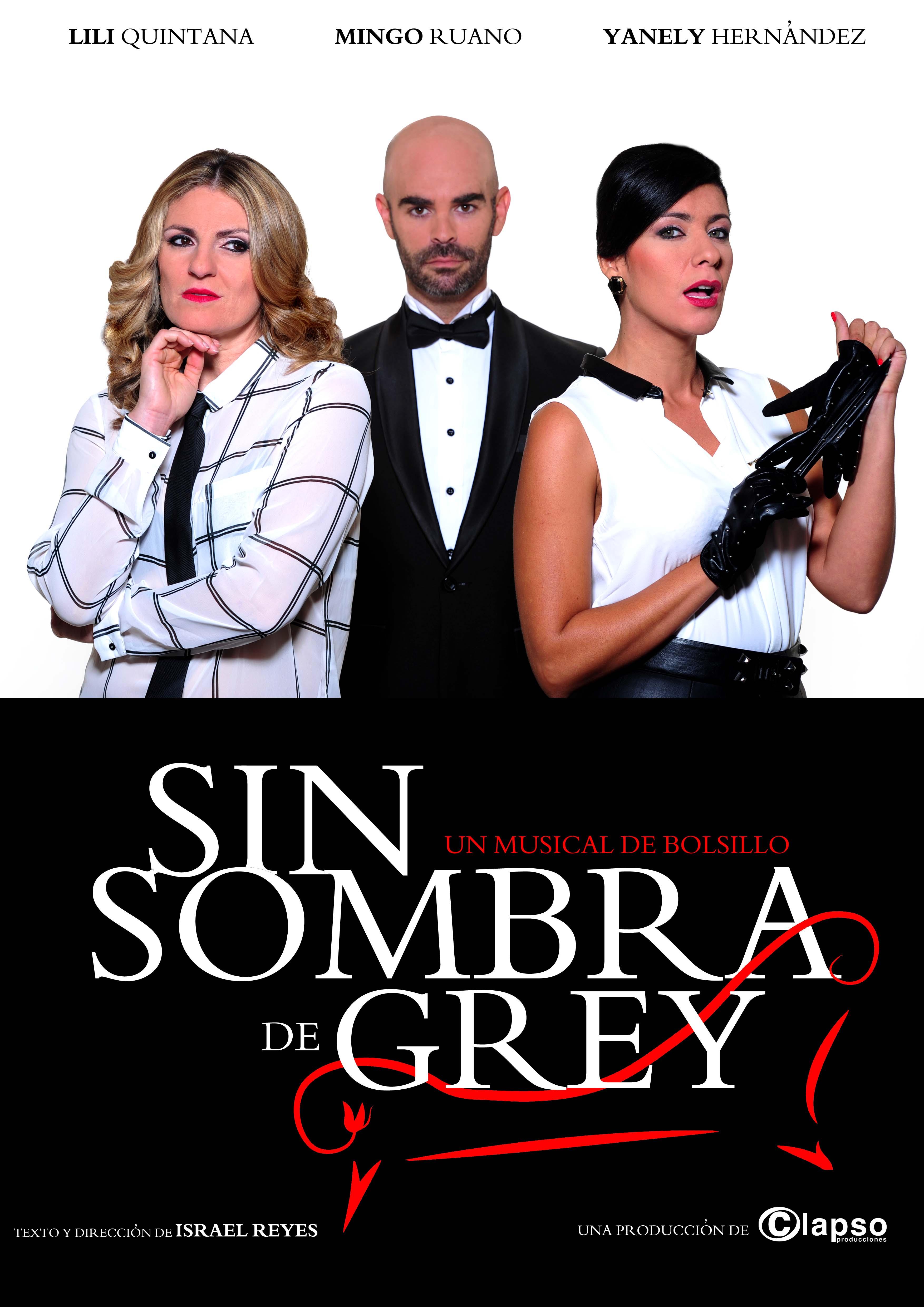 cartel-sin-sombras-de-grey-sin-logos