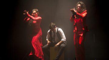 15/02/13, Valencia.- Espectáculo flamenco "Quebranto" de la compañia de Antonio de Verónica en el teatro Flumen de Valencia.
(Foto: Biel Aliño)