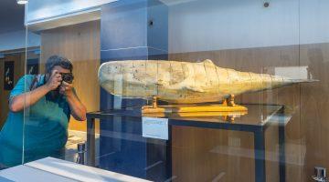 maqueta de moby dick empleada para la de la película expuesta en cuyás