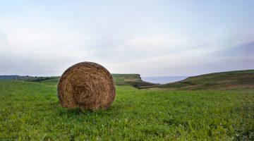 Aldai Cuarenta leguas por Cantabria