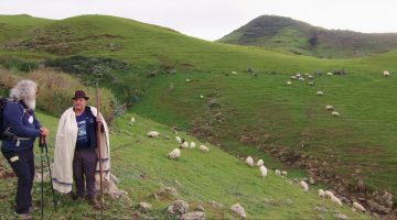 Imagen del documental dedicado al Camino de Santiago